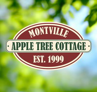 Apple Tree Cottage and Studio - St Kilda Accommodation
