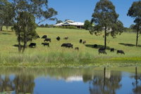 Book Nabiac Accommodation Vacations St Kilda Accommodation St Kilda Accommodation