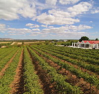 1837 Barossa Luxury Vineyard Cottages - St Kilda Accommodation