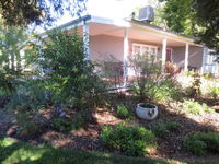Book Irymple Accommodation Vacations St Kilda Accommodation St Kilda Accommodation