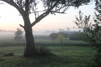 Book Heyfield Accommodation Vacations St Kilda Accommodation St Kilda Accommodation