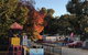 Acacia Caravan Park & Holiday Units - thumb 0