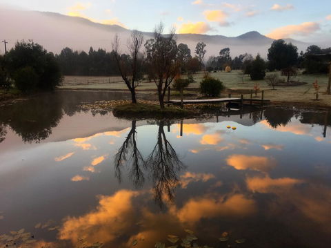 Acheron Acres Riverside - St Kilda Accommodation 2
