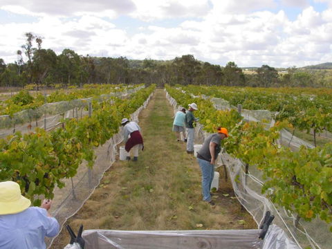 Fergies Hill Spa Cottage @ Granite Ridge Wines - St Kilda Accommodation 2