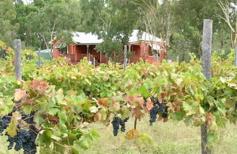 Fergies Hill Spa Cottage @ Granite Ridge Wines - St Kilda Accommodation 0