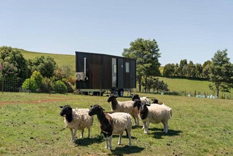 Hillside Hideout By Tiny Away - St Kilda Accommodation 2