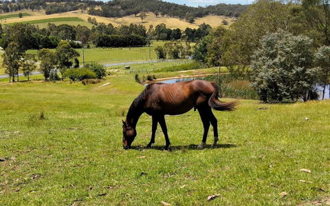 Honeycomb Hill Of Yarra Valley - St Kilda Accommodation 3