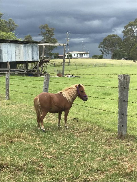 AMs Farm Stay - St Kilda Accommodation 0