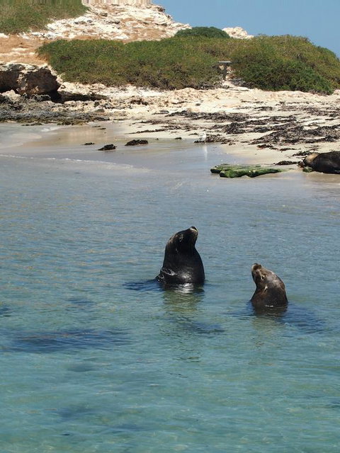 Anchorage Guest House And Self-contained Accommodation - St Kilda Accommodation 3