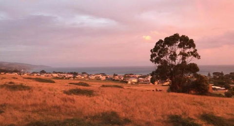 Apollo Panorama Guesthouse - St Kilda Accommodation 3