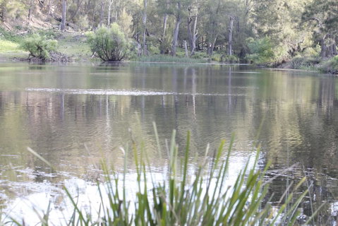 Arcadian Cabin - Southern Highlands River Retreat - St Kilda Accommodation 0