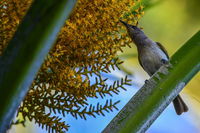 Book Karumba Accommodation Vacations St Kilda Accommodation St Kilda Accommodation