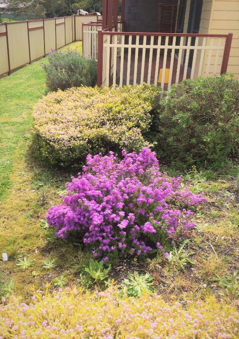 Marsden Court Apartments Now Incorporating Marsden Court And Sharonlee Strahan Villas - St Kilda Accommodation 2