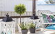 Morton Cottage At Lemon Tree - thumb 2