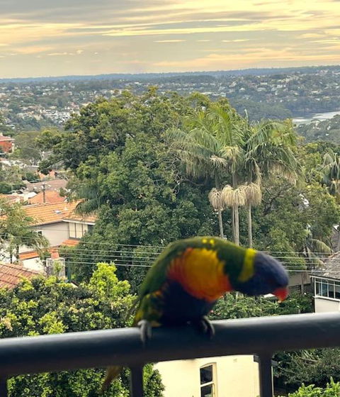 Mosman Views, 2bed, Parking, 15min Walk To Beach - St Kilda Accommodation 1