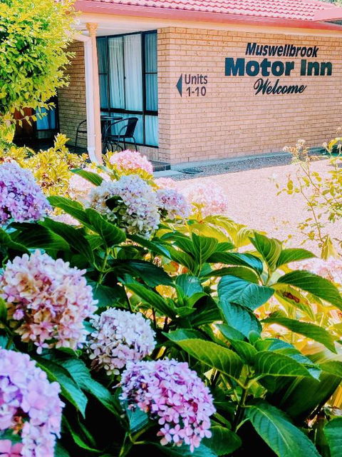 Muswellbrook Motor Inn - St Kilda Accommodation 0