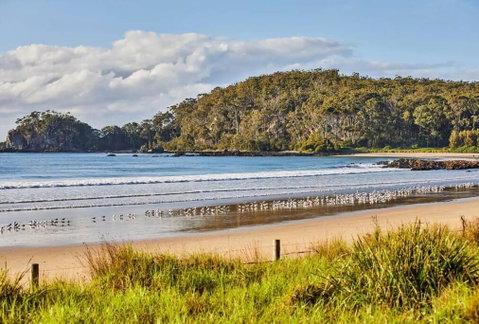 Rare Broulee Beachfront House - St Kilda Accommodation 3