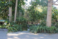 Book Macclesfield Accommodation Vacations St Kilda Accommodation St Kilda Accommodation