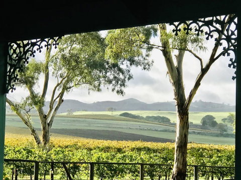 Azalea Cedar-Rose Barossa Valley Villa - St Kilda Accommodation 1