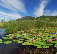 Barrington Hideaway- River Cottages - St Kilda Accommodation