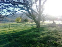 Book Mongans Bridge Accommodation Vacations St Kilda Accommodation St Kilda Accommodation