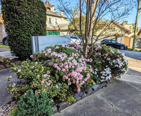 Riverside Haven On City Doorstep - St Kilda Accommodation 1