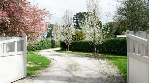 Robin Hill Manor - St Kilda Accommodation 2