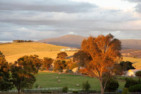 Rose Cottage Yarra Glen - St Kilda Accommodation 1