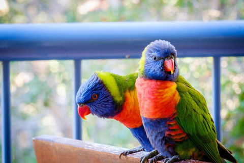 Sanctuary Lake Apartments - St Kilda Accommodation 1