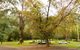 Tarra Valley Retreat - thumb 1