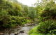 Tarra Valley Retreat - thumb 3