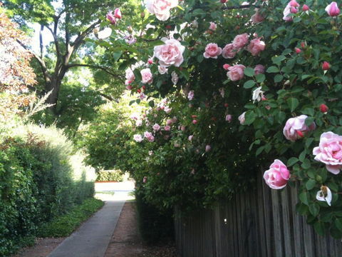 The Griffith Gallery Granny Flat - St Kilda Accommodation 2