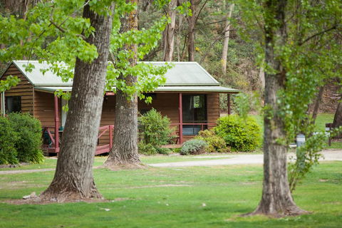 Beechworth Holiday Park - St Kilda Accommodation 0