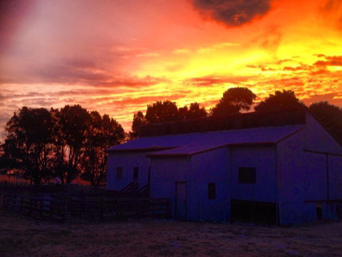 Beggs Farmstay B&B - St Kilda Accommodation 1