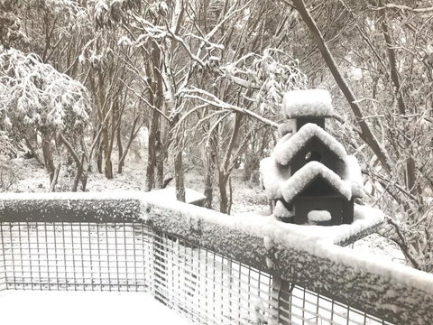 Belltrees - St Kilda Accommodation 1