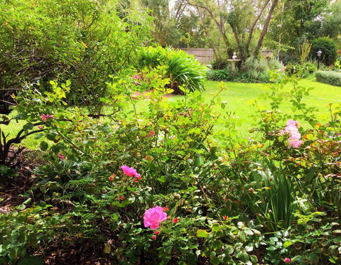 Bindley House B&B Cottage - St Kilda Accommodation 2