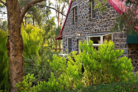 Bluegums Retreat - St Kilda Accommodation 3