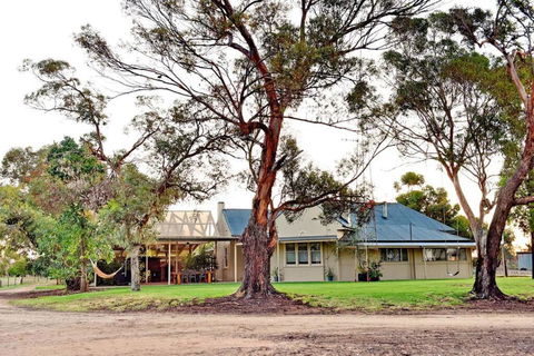 The Jetty House - Lake Frontage Barmera Riverland - St Kilda Accommodation 0