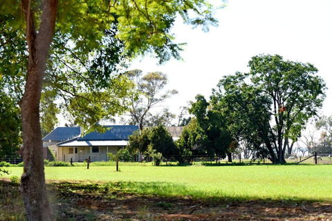 The Jetty House - Lake Frontage Barmera Riverland - St Kilda Accommodation 3