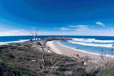 Yamba Central - St Kilda Accommodation 3