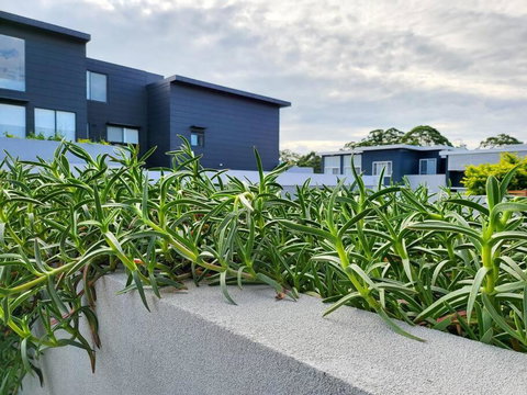 Your Quiet Penthouse With High Ceiling Split Level - St Kilda Accommodation 2