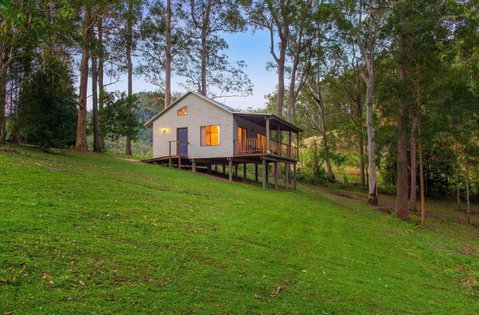 Yulo Kopa - St Kilda Accommodation 0