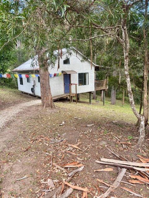 Yulo Kopa - St Kilda Accommodation 1
