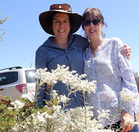 Spring Wildflower Private Day Tours - St Kilda Accommodation