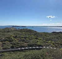 Penguin Island And Fremantle - Canoe Chocolate  Coffee - St Kilda Accommodation