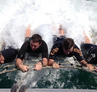 Cruise in Moreton Bay Marine Park and Moreton Island - St Kilda Accommodation