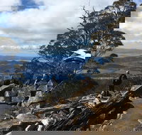 kunanyi / Mt Wellington Explorer Bus - 2 Hour Return Tour - St Kilda Accommodation