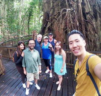 Cairns 4WD Waterfall and Rainforest Tour Including Kuranda Scenic Railway - St Kilda Accommodation