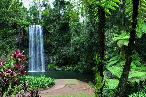 Paronella Park And Millaa Millaa Falls Full-day Tour From Cairns - St Kilda Accommodation 3