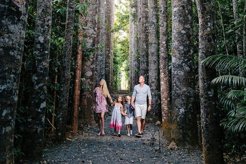 Paronella Park And Millaa Millaa Falls Full-day Tour From Cairns - St Kilda Accommodation 5